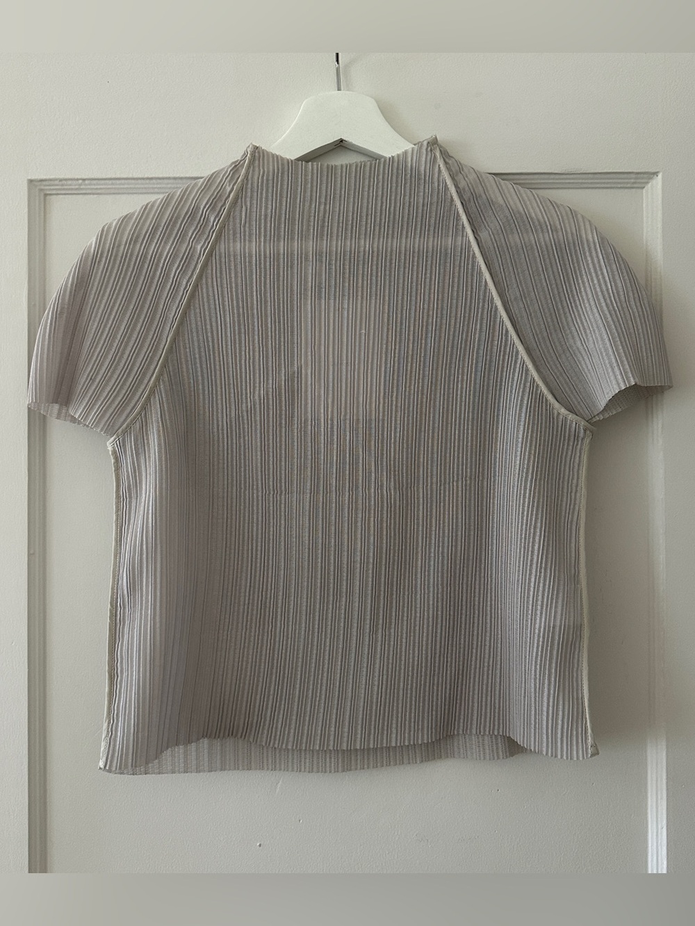 Amomento Pleats Raglan Top - Picture 2 of 5